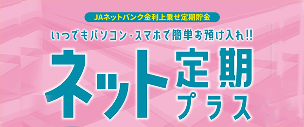 ネット定期プラス